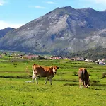 Apartment Rincon Con Piscina En Picos De Europa Vut-6471-as Cangas de Onis