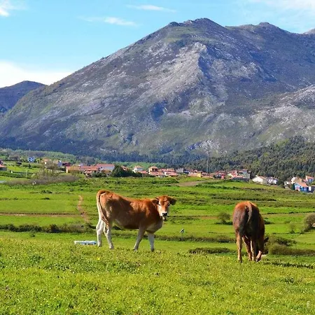 Apartamento Rincón Con Piscina En Picos De Europa Onís